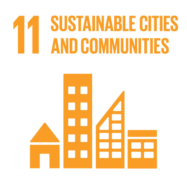 SDG 11 Graphic